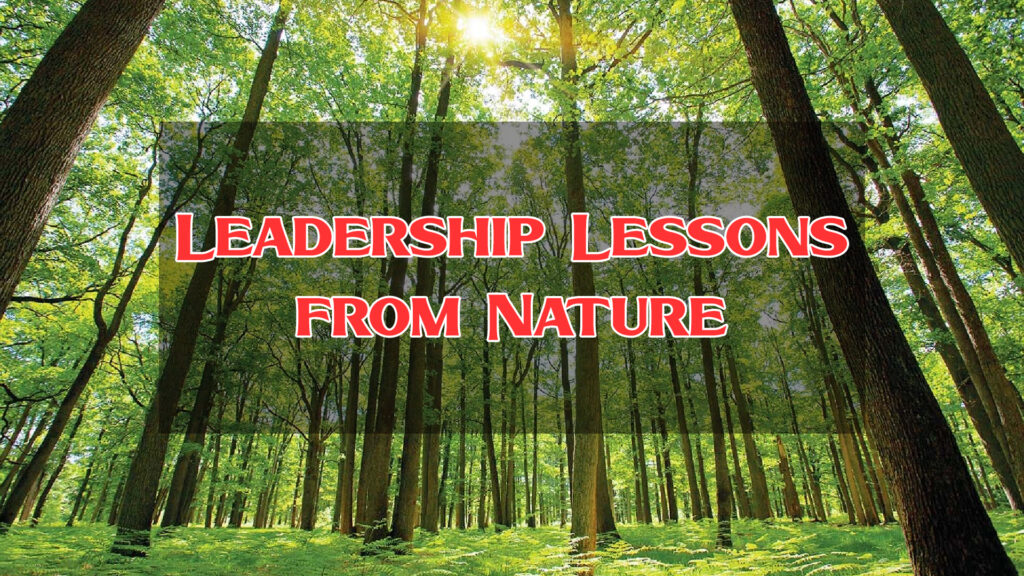 Leadership-Lesson-from-Nature
